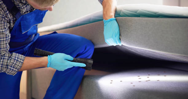 Best Wasp Removal Services  in Waverly, OH