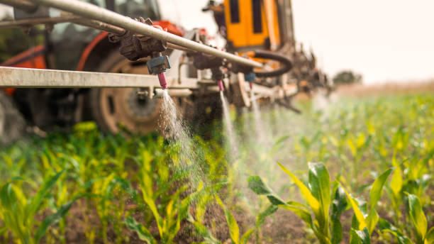 Best Mosquito Control Services  in Waverly, OH